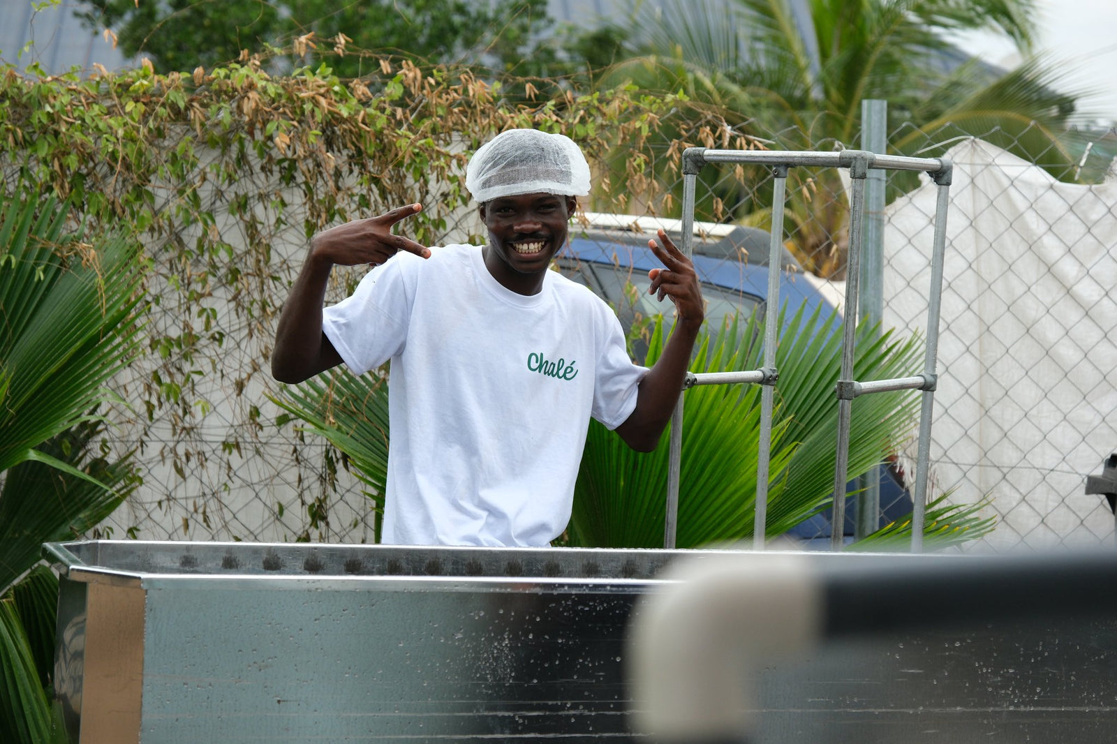 Direct from our farm to you. Pure and transparent.